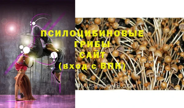 таблы Горно-Алтайск