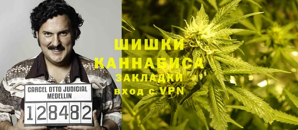 эйфоретик Горняк