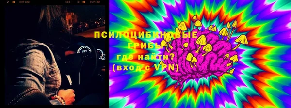 эйфоретик Горняк
