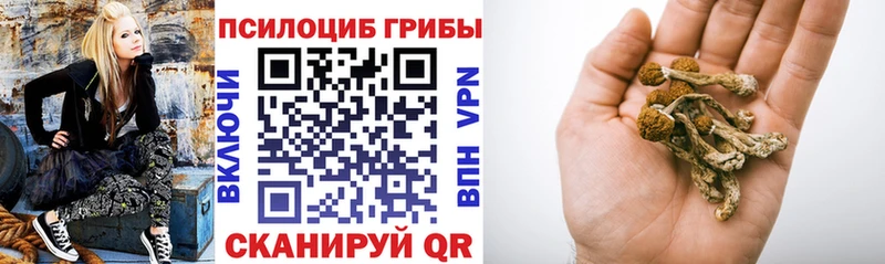 Купить где  Котельнич  Галлюциногенные грибы мицелий 